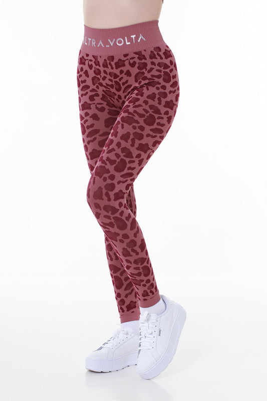 Urban Chic Magenta LeopardPrint Knitted Leggings